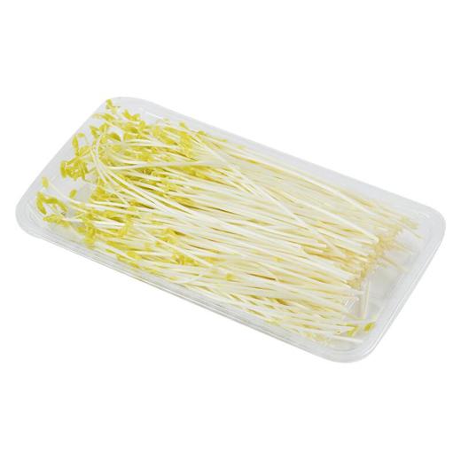 金丝柳苗 200g/份 商品图2