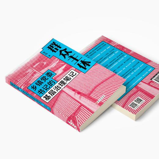 《群众主体：乡镇党委书记的基层治理笔记》 商品图7