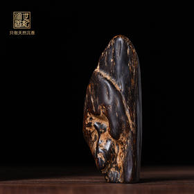 天然芽庄沉香 沉水级 26.1克 SP11016