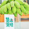 禁止蕉绿水培香蕉拒绝焦虑苹果蕉办公室芭蕉静止焦绿【送花瓶】 商品缩略图0