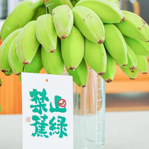 禁止蕉绿水培香蕉拒绝焦虑苹果蕉办公室芭蕉静止焦绿【送花瓶】 商品图0