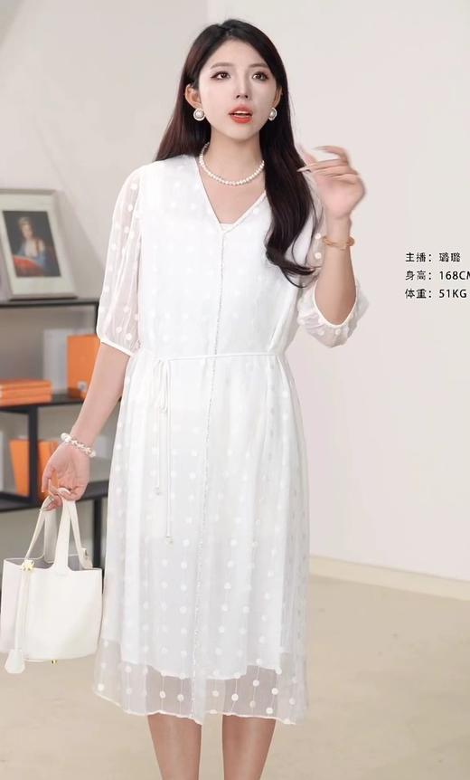 XL1XXL1臣禾	【刺绣真丝裙】  V领中长款连衣裙	JZ251020138 商品图1