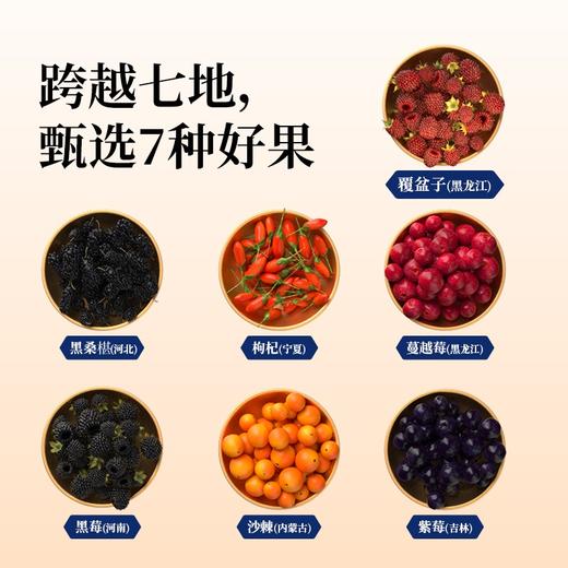 上工初健干型735ml13%vol 商品图1