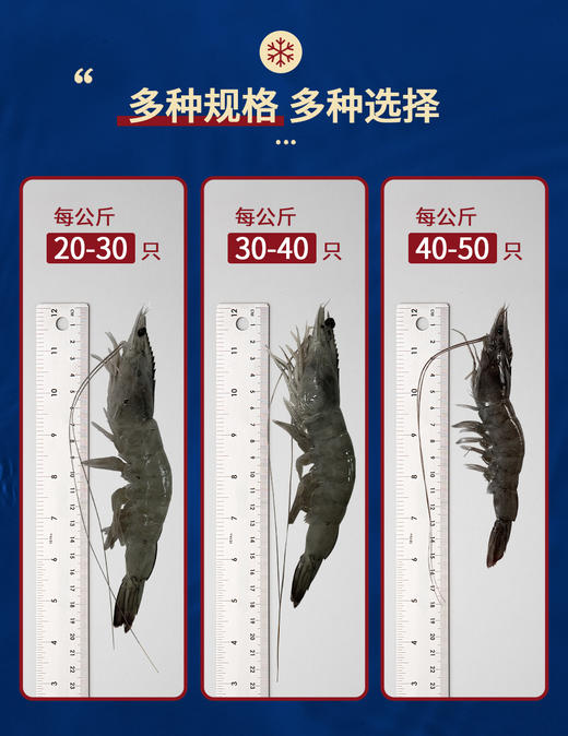 【生鲜专区-顺丰发货】厄瓜多尔盐冻大虾 原装进口 原箱发货 约1.5公斤/盒(3斤)  青岛发货 顺丰包邮  {冷冻生鲜食品请及时签收}约48-72小时发货 勿催单 商品图4