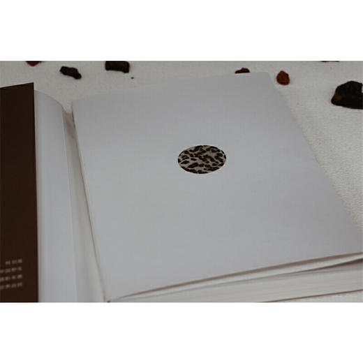 雪豹一家:卓玛王朝 商品图2