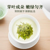 2026新茶泥巴哥精品龙井绿茶炒青豆香明前茶100g*2罐 商品缩略图3