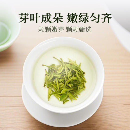 2026新茶泥巴哥精品龙井绿茶炒青豆香明前茶100g*2罐 商品图3