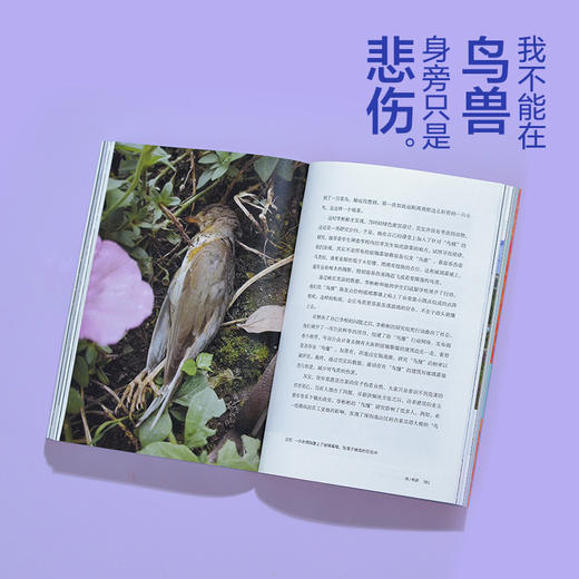 我不能在鸟兽身旁只是悲伤 商品图8