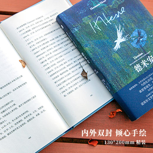 黑塞经典：德米安：彷徨少年时 | 几代西方青年抵抗世界的孤独之书 商品图3