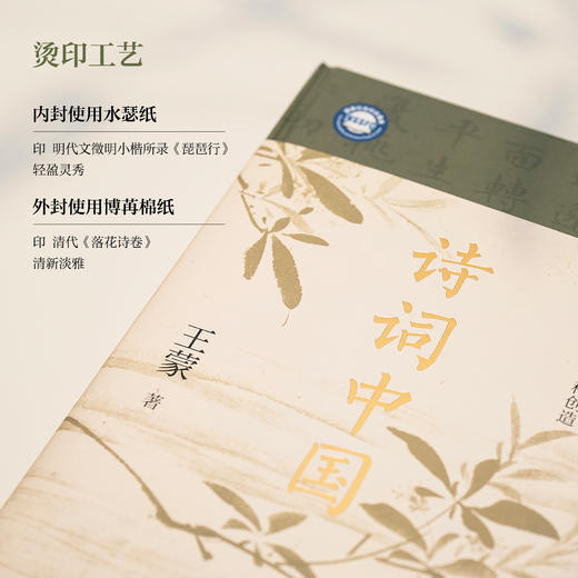 《诗词中国》王蒙 | 古典诗词大师课 商品图4