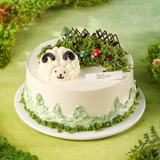 游春野，可选1.5/2.5/3.5/6磅 商品图0