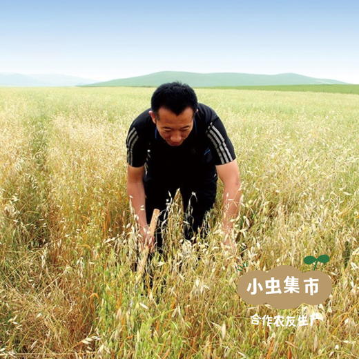 蒙北天然燕麦胚芽米 500g/盒 | 合作农友生产，产自内蒙古乌拉盖草原，生产者：李刚岭 &【公平贸易农人定价】 商品图11