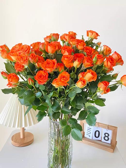 新鲜鲜花 多头玫瑰橙色芭比鲜切花 10支 （可备注送货时间） 商品图3