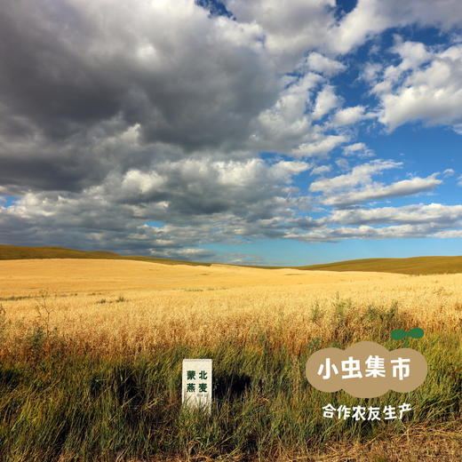 蒙北天然燕麦胚芽米 500g/盒 | 合作农友生产，产自内蒙古乌拉盖草原，生产者：李刚岭 &【公平贸易农人定价】 商品图9