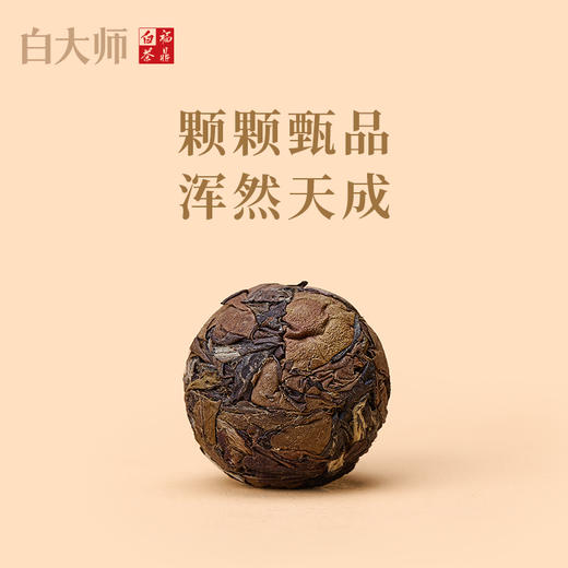 白大师白茶福鼎白茶一叶倾城大师罐2019年陈皮白茶寿眉白茶组合 商品图7