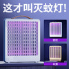 【充插两用；蚊蝇一网打尽！！！】家用驱蚊神器，360°电击灭蚊，全屋蚊虫无处可逃。真正的一蚊不剩，全屋清净安心，开启蚊蝇灭净新时代！ 商品缩略图3