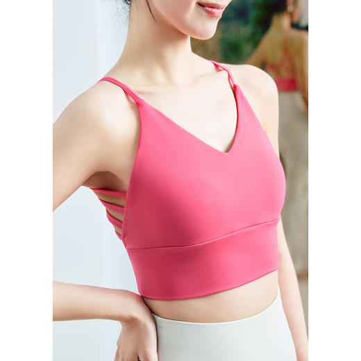 FA102镂空美背V领BRA 商品图2