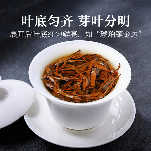 恩施利川红茶高山工夫红茶蜜香自饮散装富硒茶叶250g泥巴哥 商品图3