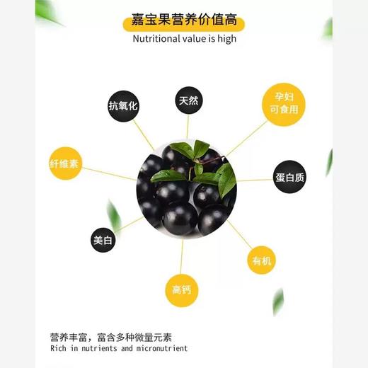 新鲜水果  柔软多汁树葡萄嘉宝果  190g左右/盒 商品图3