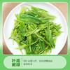 茶马世家2025新茶特级春茶恩施玉露明前蒸青绿茶75克 商品缩略图4