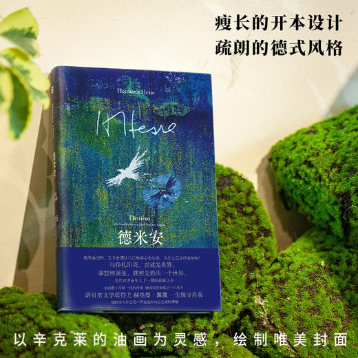 黑塞经典：德米安：彷徨少年时 | 几代西方青年抵抗世界的孤独之书 商品图4