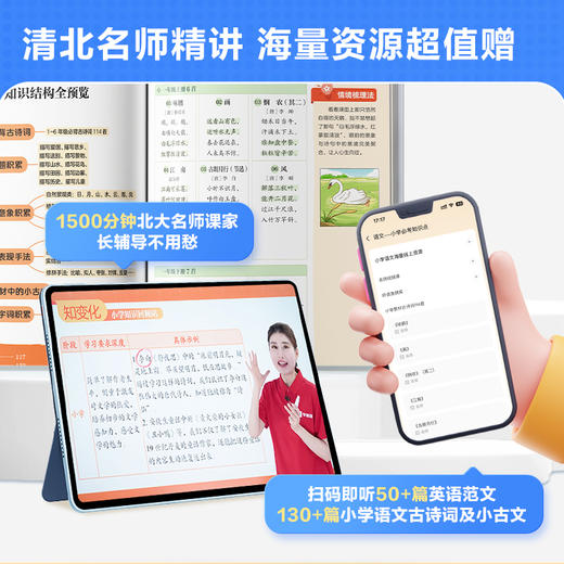 小学必考知识全梳理  语数英小学知识盘点 小初衔接有助力 商品图4