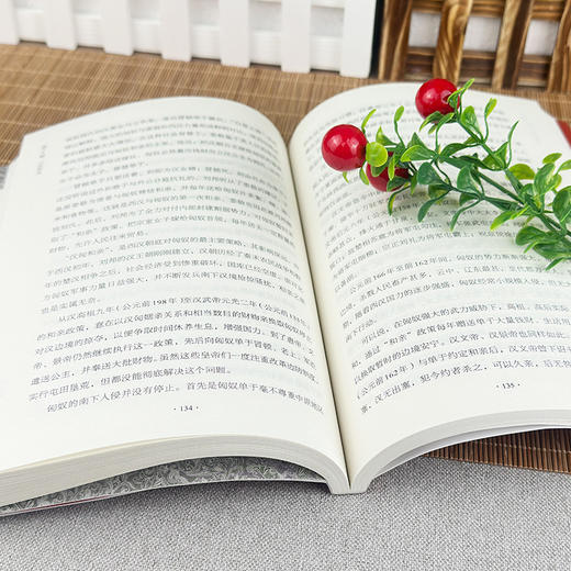 雄才大略:汉武帝传 商品图4