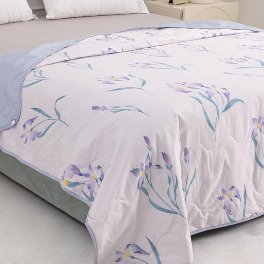 多喜爱 悦怡夏薄被/空调被（豆蔻紫鸢）【全棉面料】【七孔纤维】可机洗水洗精梳全棉 清新花卉 斜纹织造 整张填充 榈棉/包边 商品图3