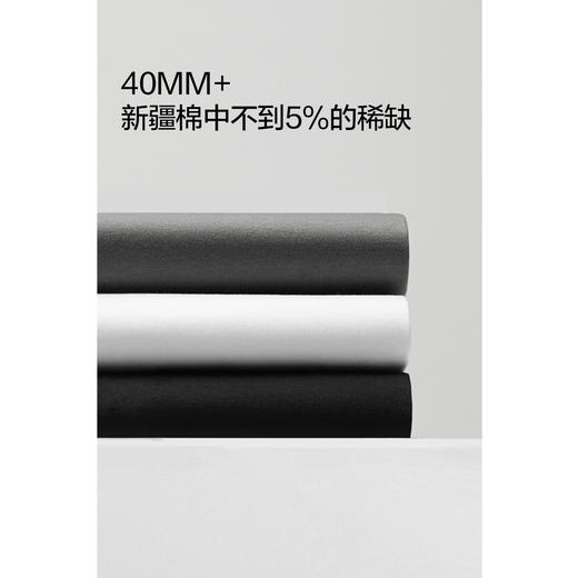 棉仓363801015-7A长绒棉短袖T恤 商品图2