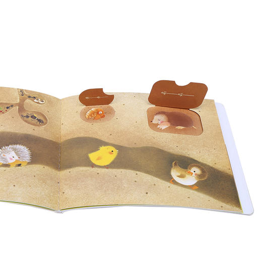 小鸡球球成长绘本系列：全6册（新星社版）（点读版）X 商品图5