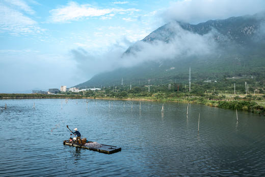 【霞浦】鹅湾红树林•半月里•杨家溪•畲族人家风光人文5天摄影<特惠> 商品图6