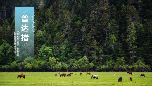 【丽江-泸沽湖-香格里拉】云岭仙境精品6日5晚双人深度游，包含吃住景区门票。五钻品质享受生活，咨询电话15010788166/18101139795 商品图6