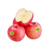 青怡苹果500G /份 商品缩略图0