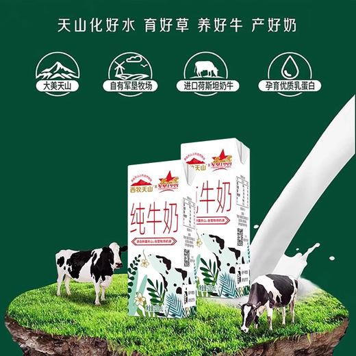 西牧天山·新疆纯牛奶200g*10盒*5箱  源自新疆自有军垦牧场 商品图3
