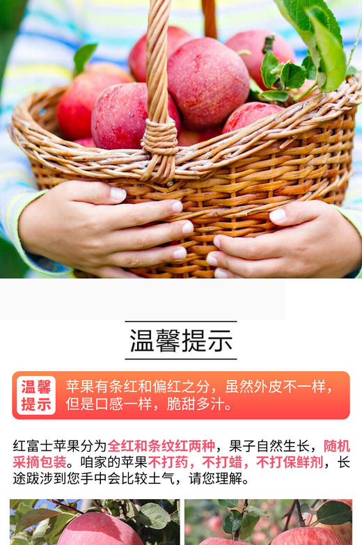 XX巴东红富士苹果 商品图3