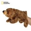 国家地理 毛绒玩具动物手偶 灰熊 10.5英寸 商品缩略图0