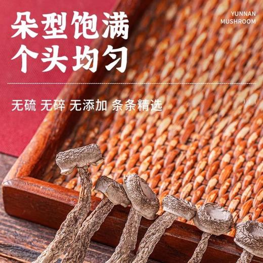 鹿茸菇（约500G） /份 商品图2