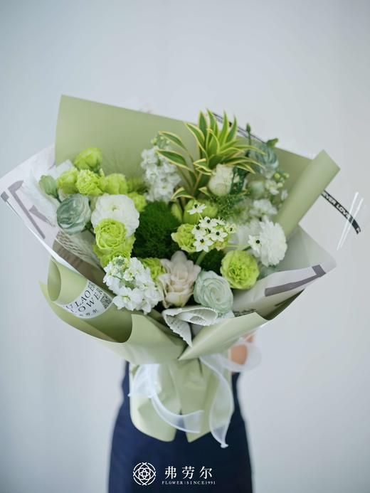 幽林清风 商品图0