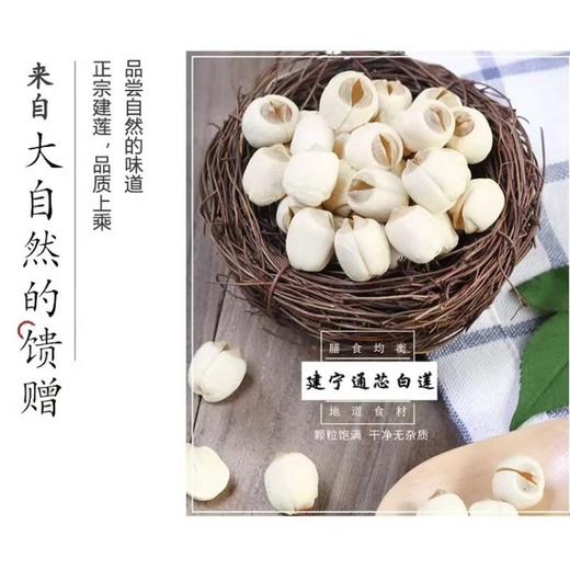 建宁白莲子（特级）约500g /份 商品图4