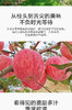 XX巴东红富士苹果 商品缩略图1