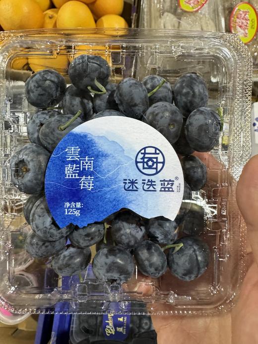 迷迭蓝 云南蓝莓125g/盒 商品图0