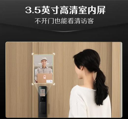 德施曼智能锁德施曼Q3F Pro 人脸识别 商品图4