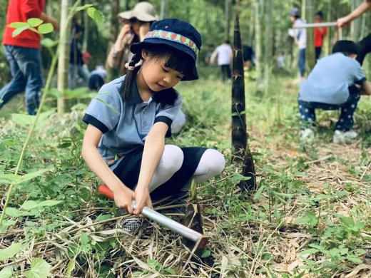 【无锡专拍】（半日亲子）上春山，采春茶，挖春笋，采草莓，用双手制作春天 商品图4