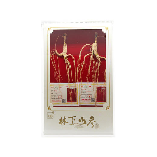 【P】华润堂 林下山参 16克 商品图3