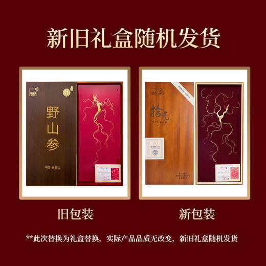 【央企品牌】华润野山参  一等(20年参) 商品图5