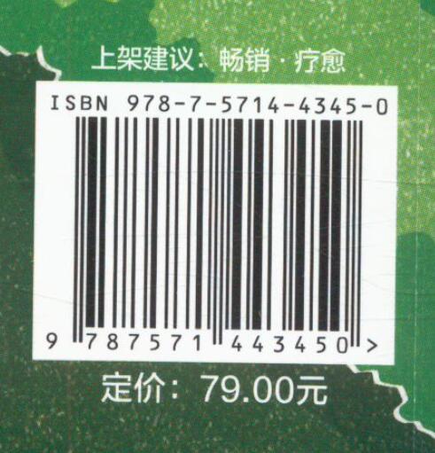 我被行走治愈了 商品图2
