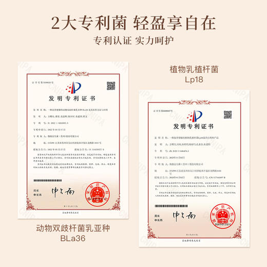 有生之颜 益生菌冻干粉固体饮料-5gX14袋 商品图4