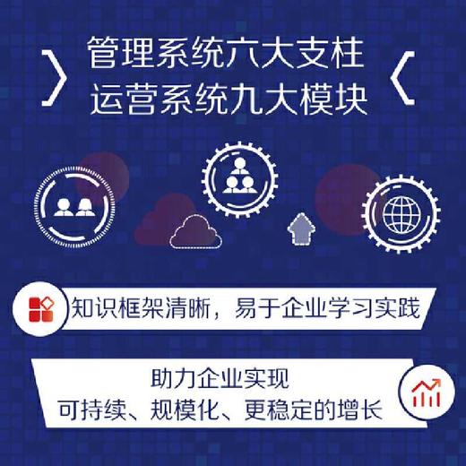 收入运营:数字化时代的增长新路径 商品图1