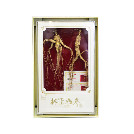 【P】华润堂 林下山参 40克 商品图2