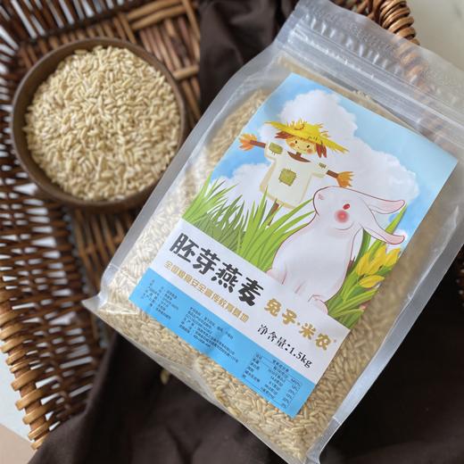 兔子米农胚芽燕麦米 1.5kg 商品图0